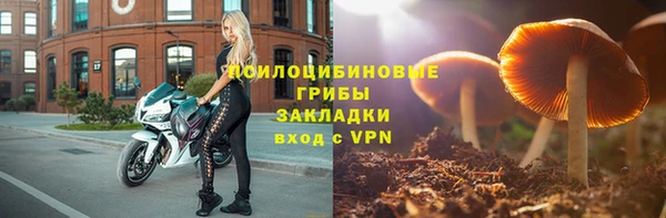 сатива Гусь-Хрустальный