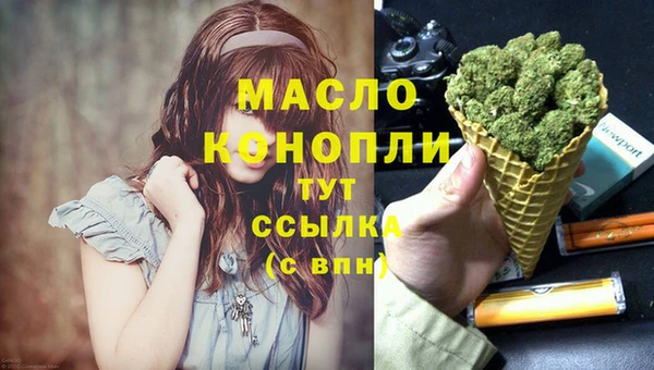мдпв Гусев
