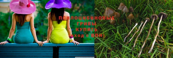мдпв Гусев
