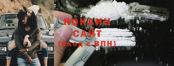 мдпв Гусев