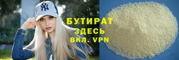 мдпв Гусев