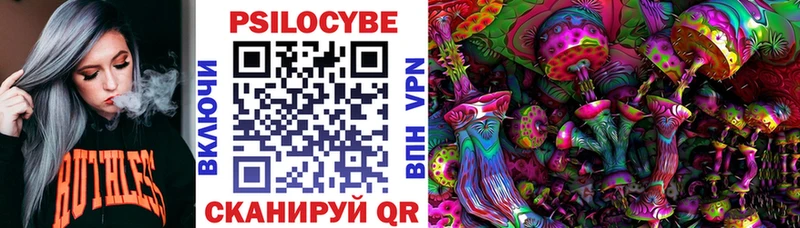 Купить закладки  Салехард  Галлюциногенные грибы Psilocybe 
